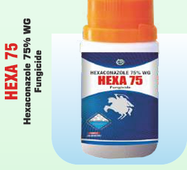 HEXA 75